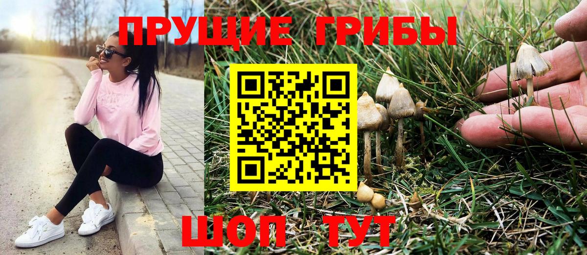 Галлюциногенные грибы Cubensis  Вход с VPN  Нерюнгри 